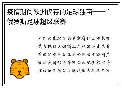 疫情期间欧洲仅存的足球独苗——白俄罗斯足球超级联赛